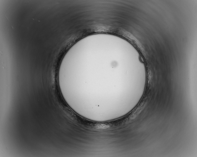 X0000096390257200802211148