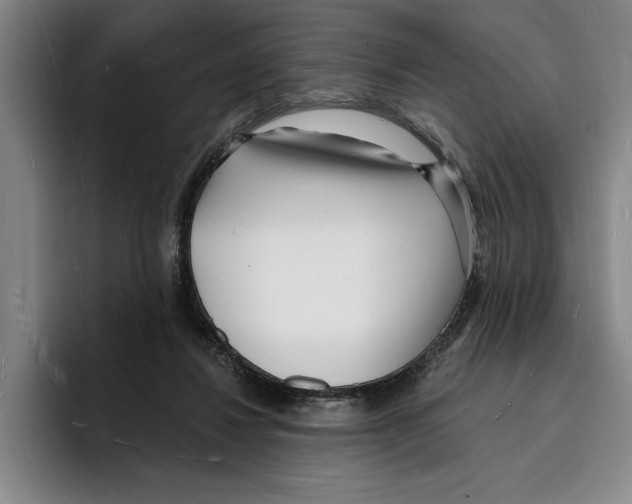 X0000096390260200802211148