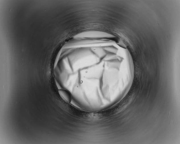 X0000096390261200802211148