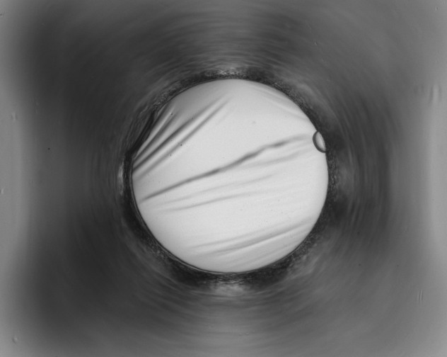 X0000096390262200802211148