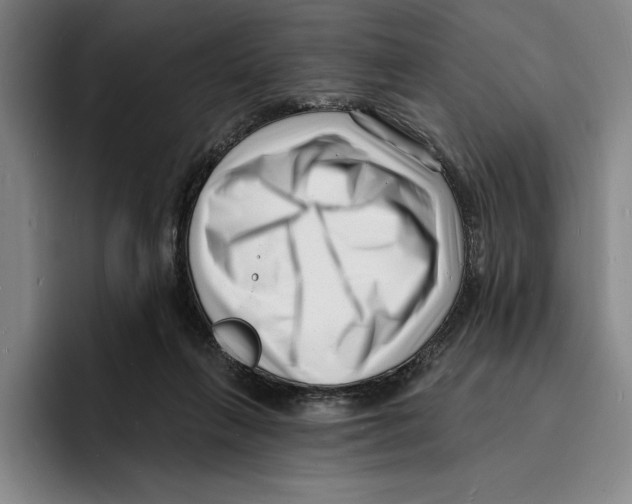 X0000096390263200802211148