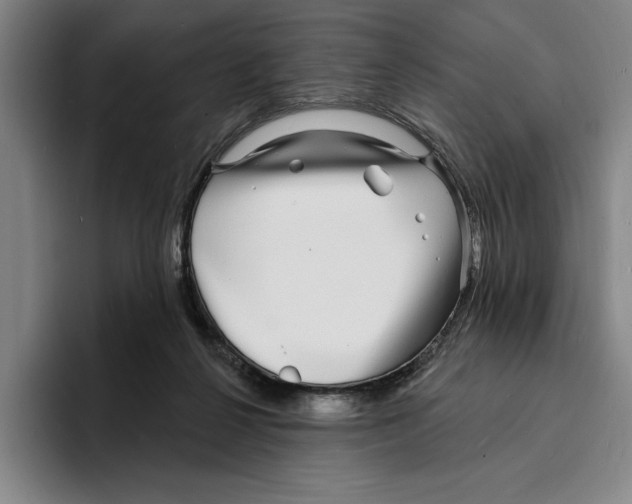 X0000096390264200802211148