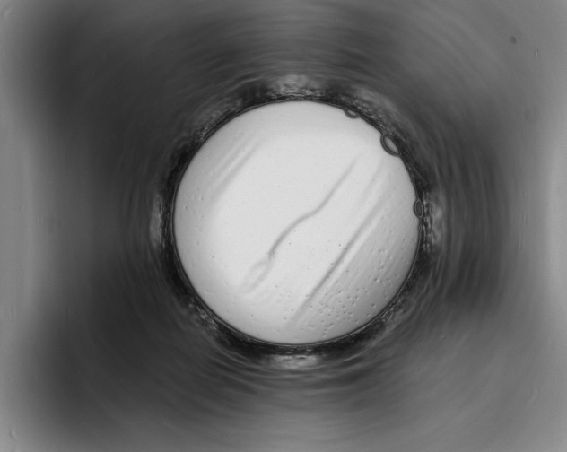 X0000096390266200802211148