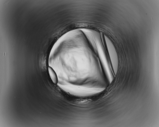 X0000096390267200802211148