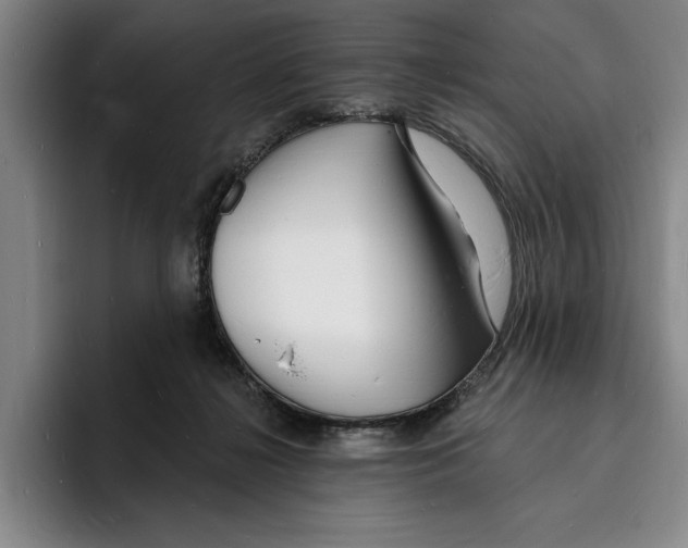 X0000096390268200802211148