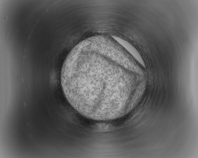 X0000096390272200802211148