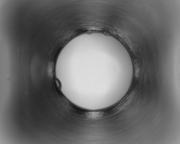 X0000096390273200802211148