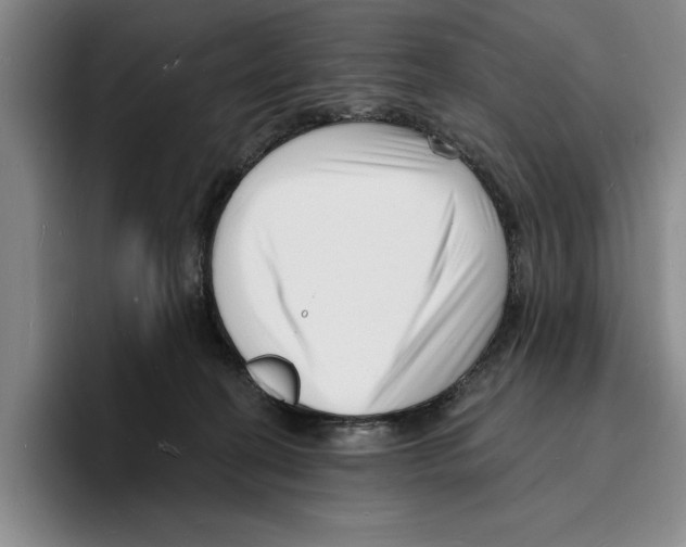 X0000096390274200802211148