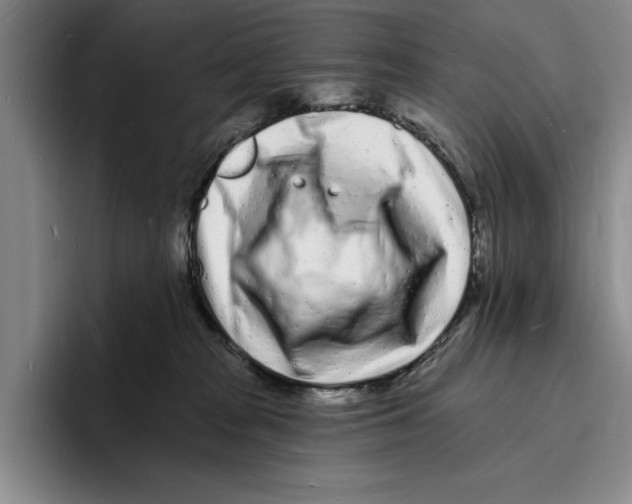 X0000096390277200802211148