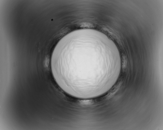 X0000096390281200802211148