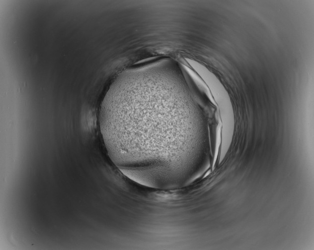 X0000096390284200802211148