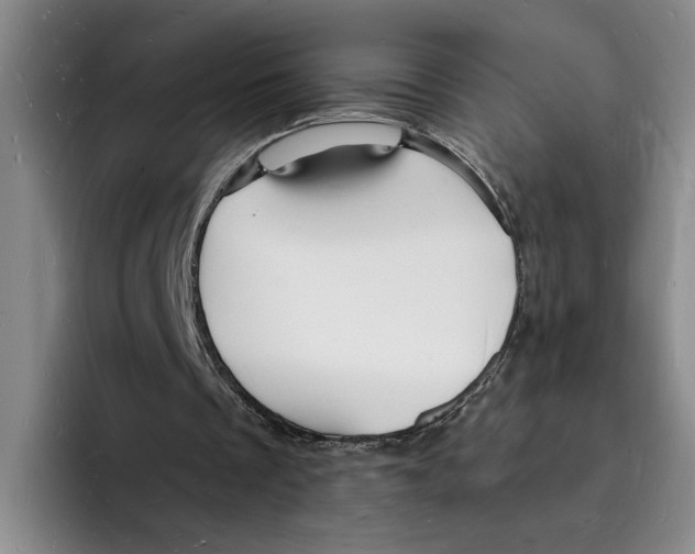 X0000096390289200802211148
