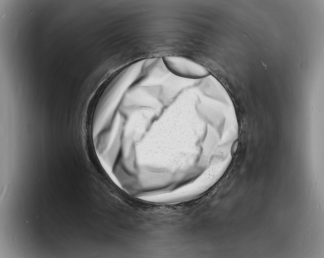 X0000096390290200802211148
