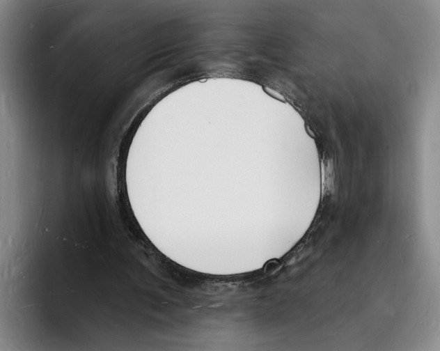 X0000096390291200802211148