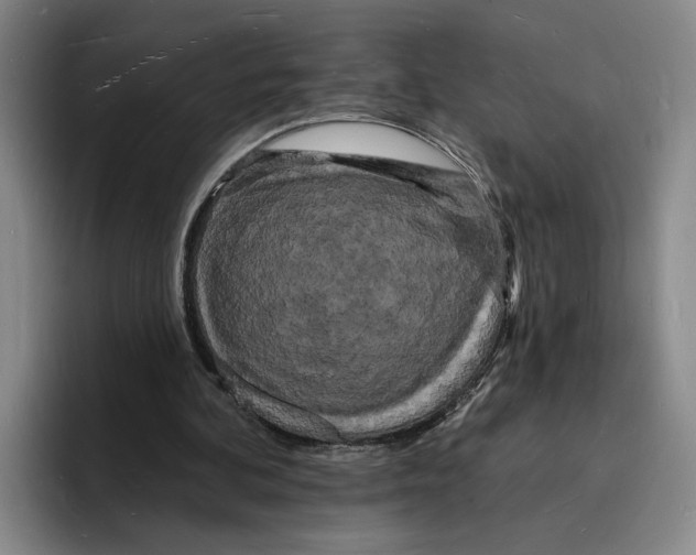 X0000096390292200802211148