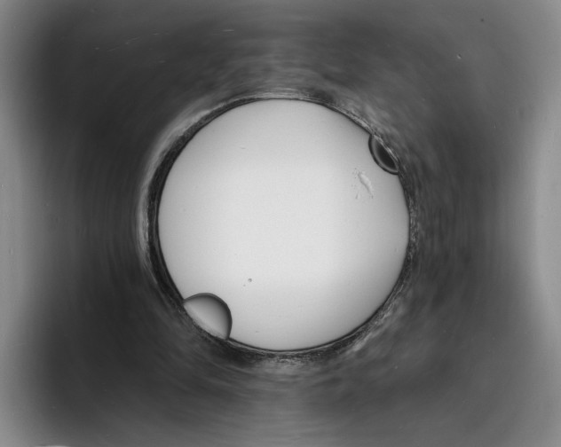 X0000096390294200802211148