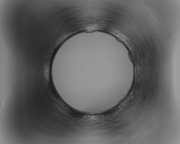 X0000096390297200802211148