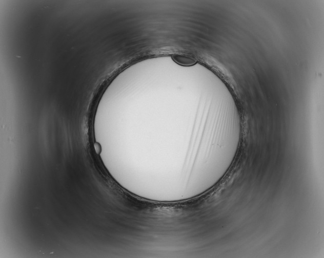 X0000096390298200802211148