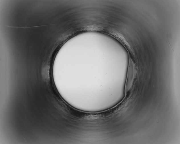 X0000096390299200802211148