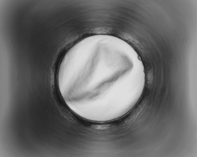 X0000096390303200802211148