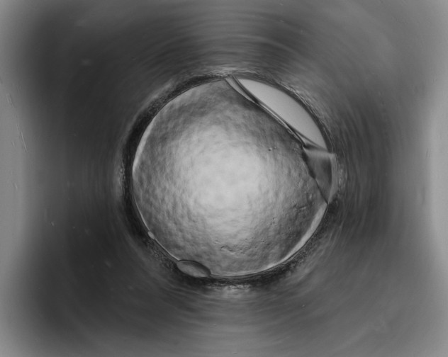 X0000096390304200802211148