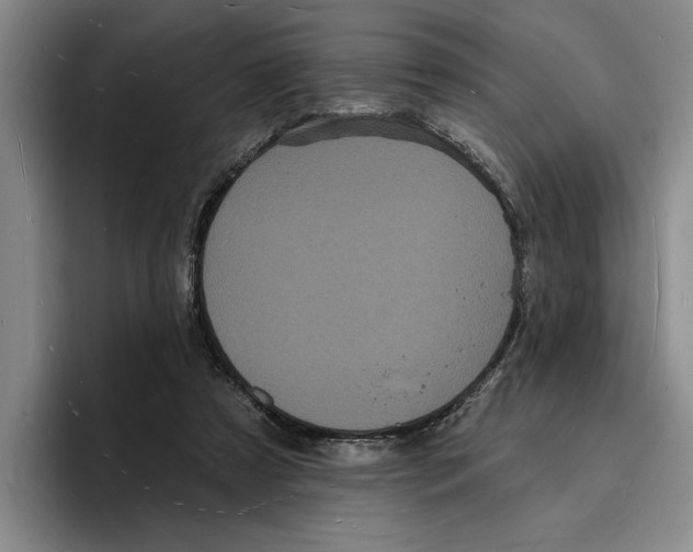 X0000096390305200802211148