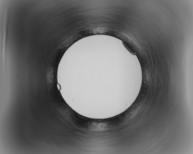 X0000096390311200802211148