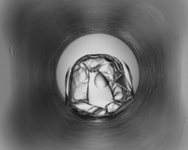 X0000096390312200802211148