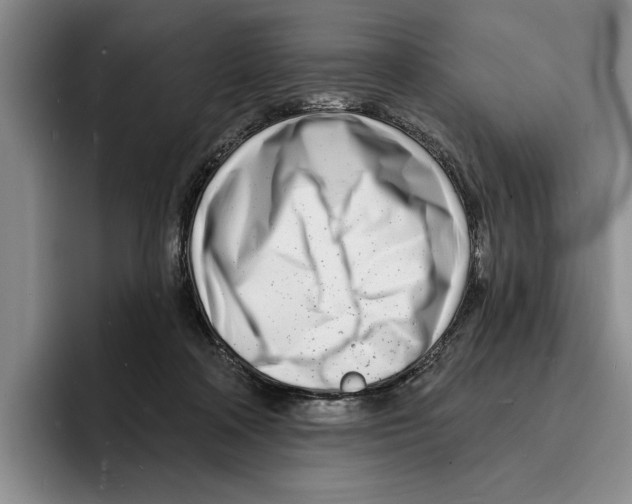 X0000096390314200802211148