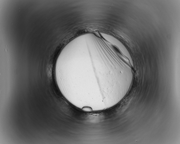 X0000096390315200802211148