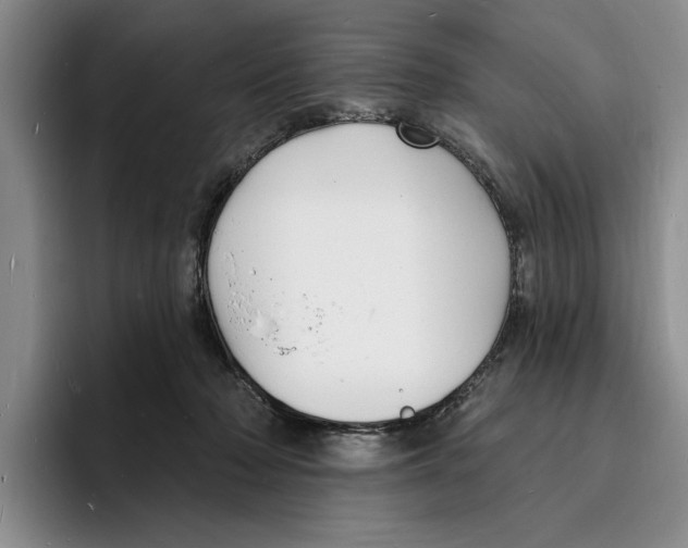 X0000096390318200802211147