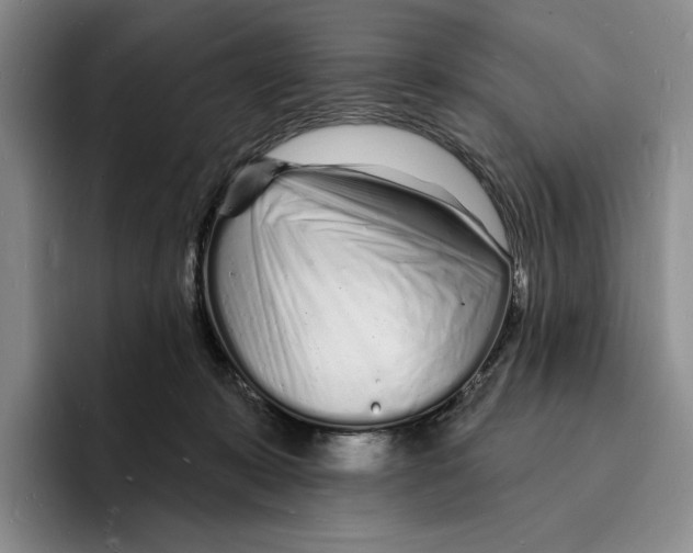 X0000096390319200802211147