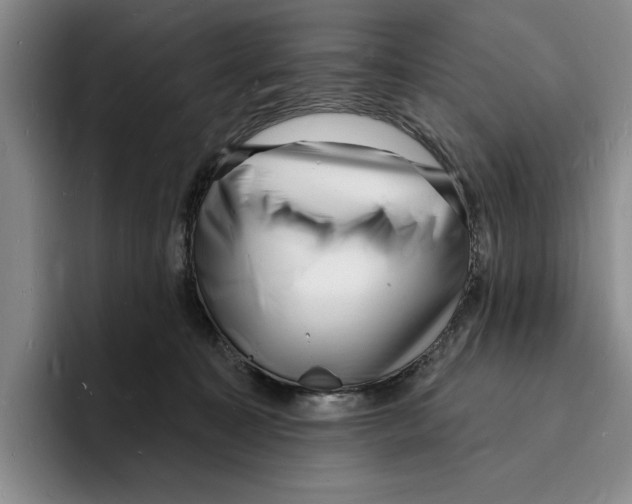 X0000096390323200802211147