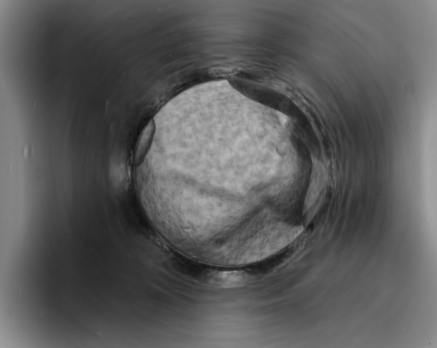 X0000096390324200802211147