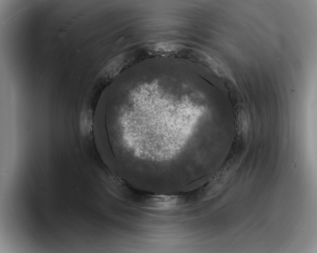 X0000096390328200802211147