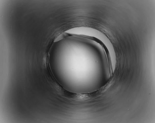 X0000096390333200802211147