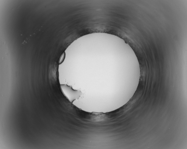 X0000096390334200802211147