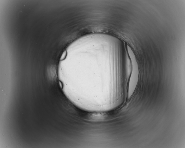 X0000096390335200802211147
