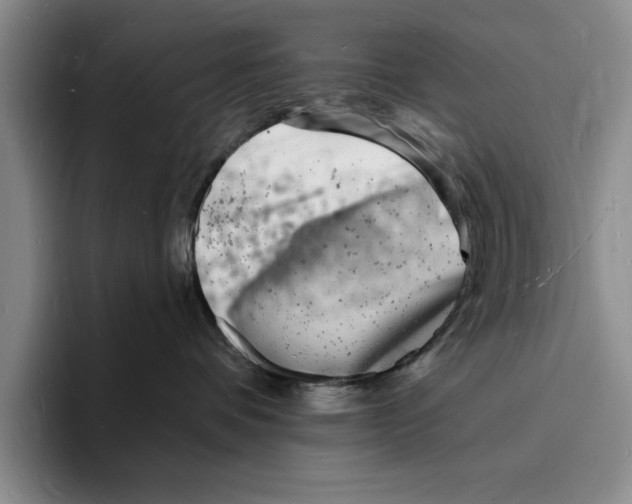X0000096390336200802211147