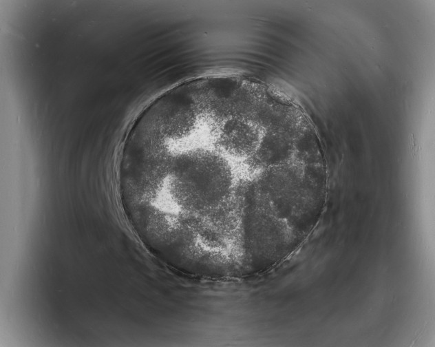 X0000096390337200802211147