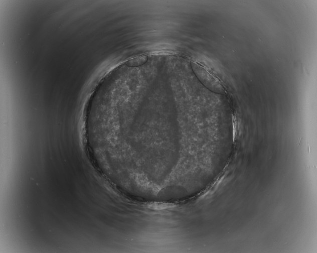 X0000096390339200802211147
