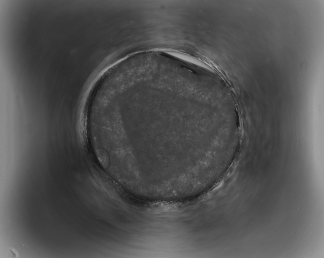 X0000096390343200802211147