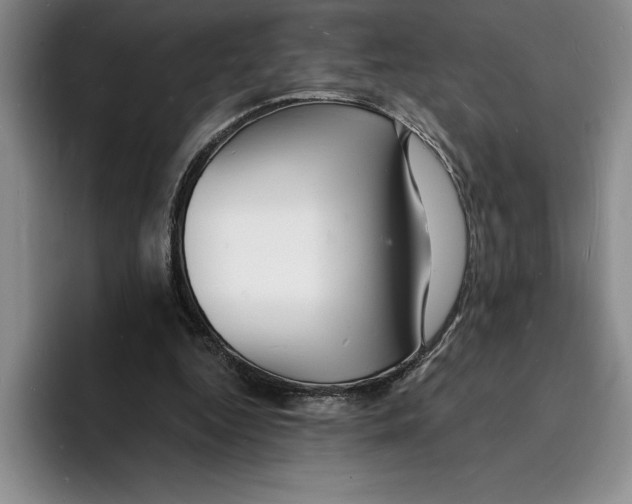 X0000096390344200802211147