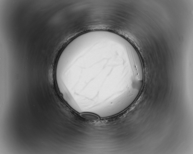 X0000096390345200802211147