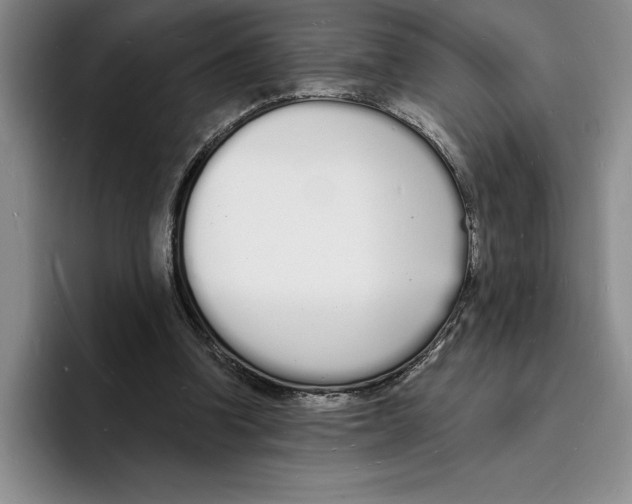 X0000096390346200802211147