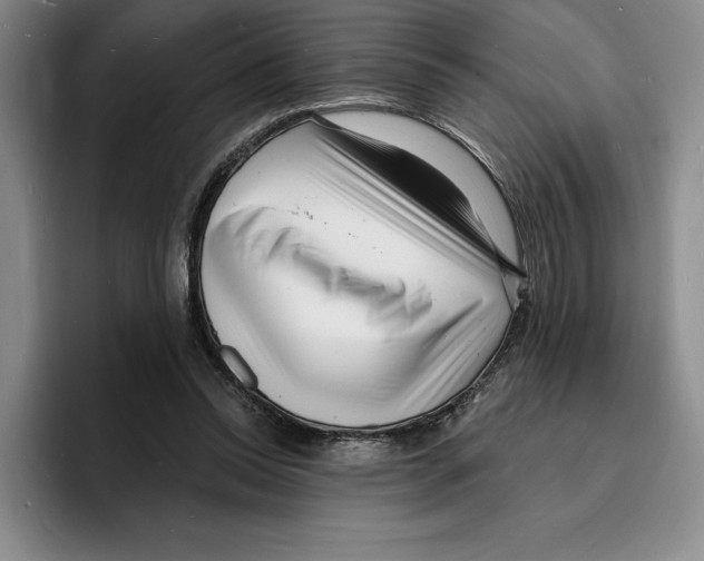 X0000096390350200802211147