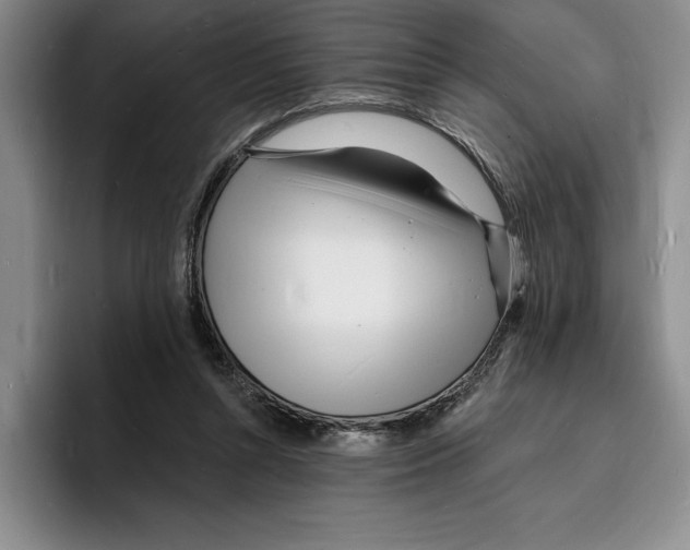 X0000096390352200802211147
