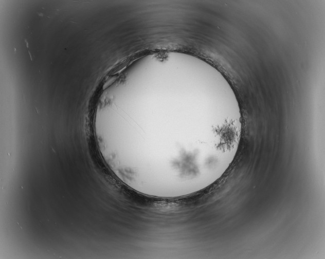 X0000096390354200802211147