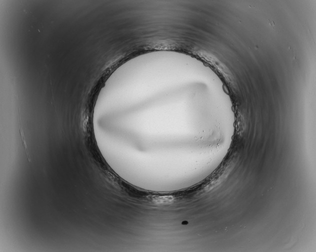 X0000096390355200802211147
