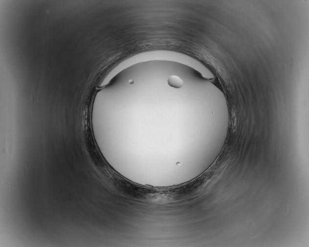 X0000096390356200802211147